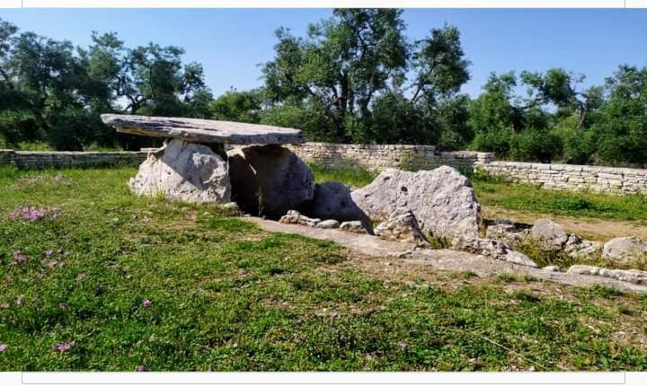 Amaste In Puglia Casa Vacanza Bisceglie Exterior foto